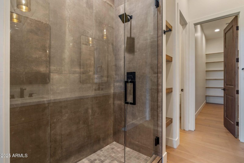 Lower Level Master Bath