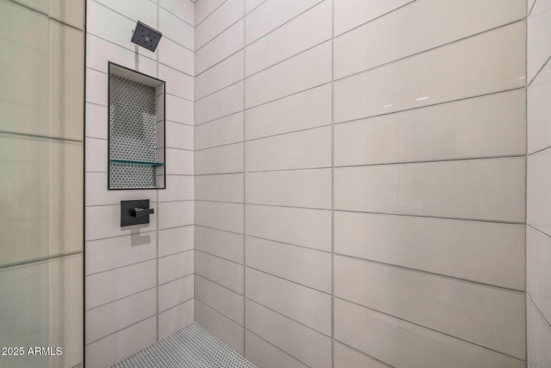 Lower Level Bathroom Shower