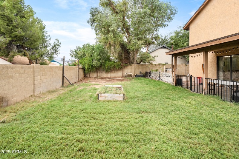 Backyard facing west 2