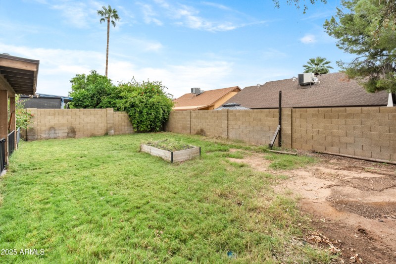 Backyard facing east
