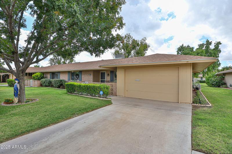 Beautiful Shade Tree