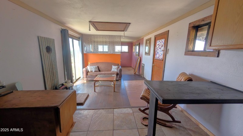 PXL_20251014_173504409