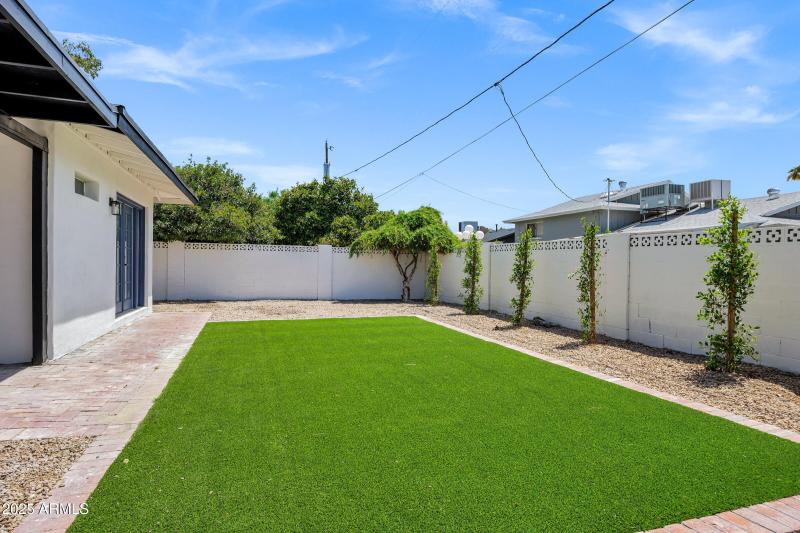 New turf and 10 new Ficus columns