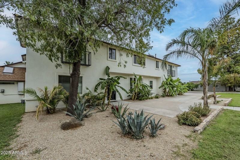 104-web-or-mls-Orchid-20 (3)