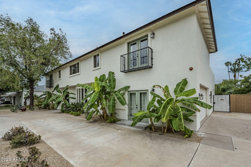 103-web-or-mls-Orchid-19 (3)