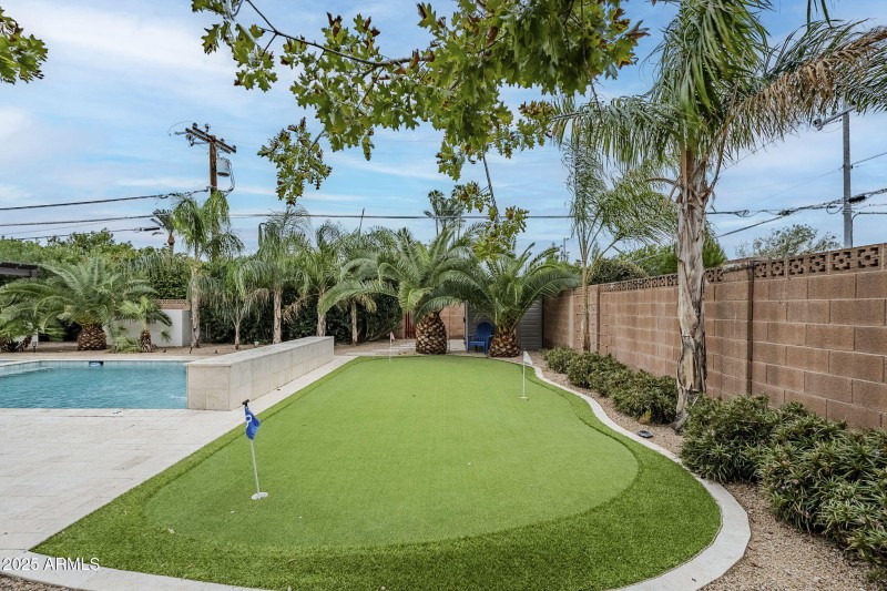 77-web-or-mls-Orchid-13 (2)