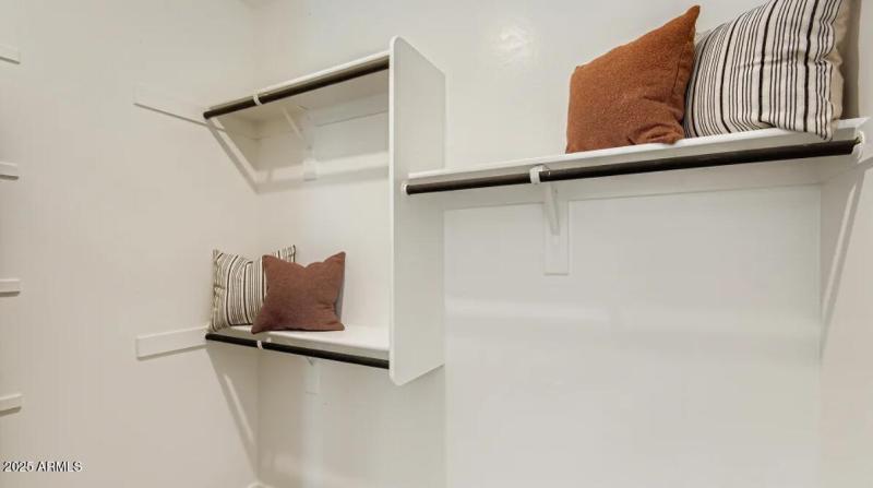 Owners Walk in Closet