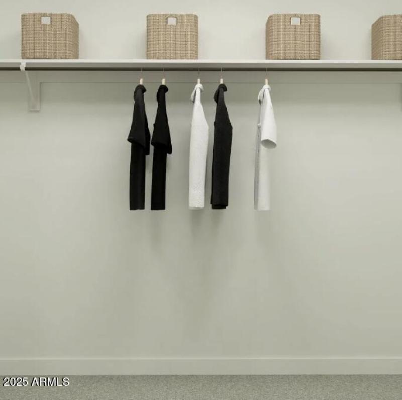 Owners Walk in Closet