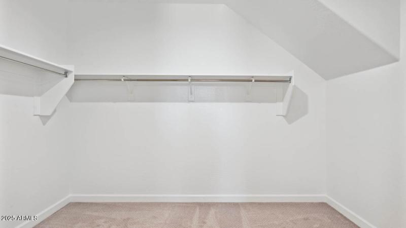 Ozark primary closet