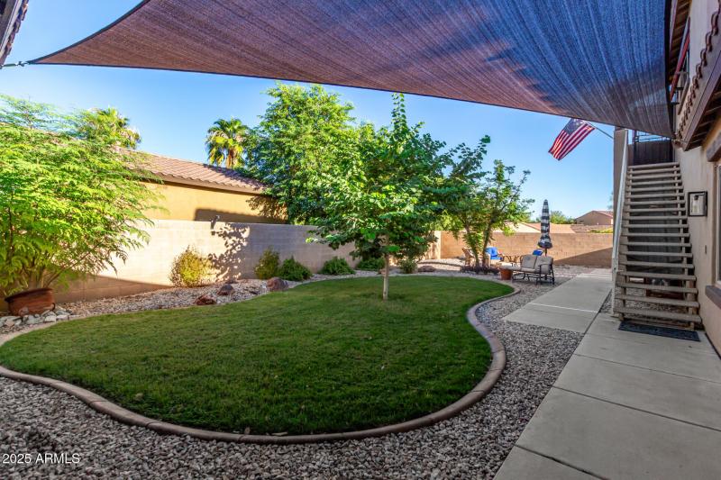 Court 20905 - Backyard Grass