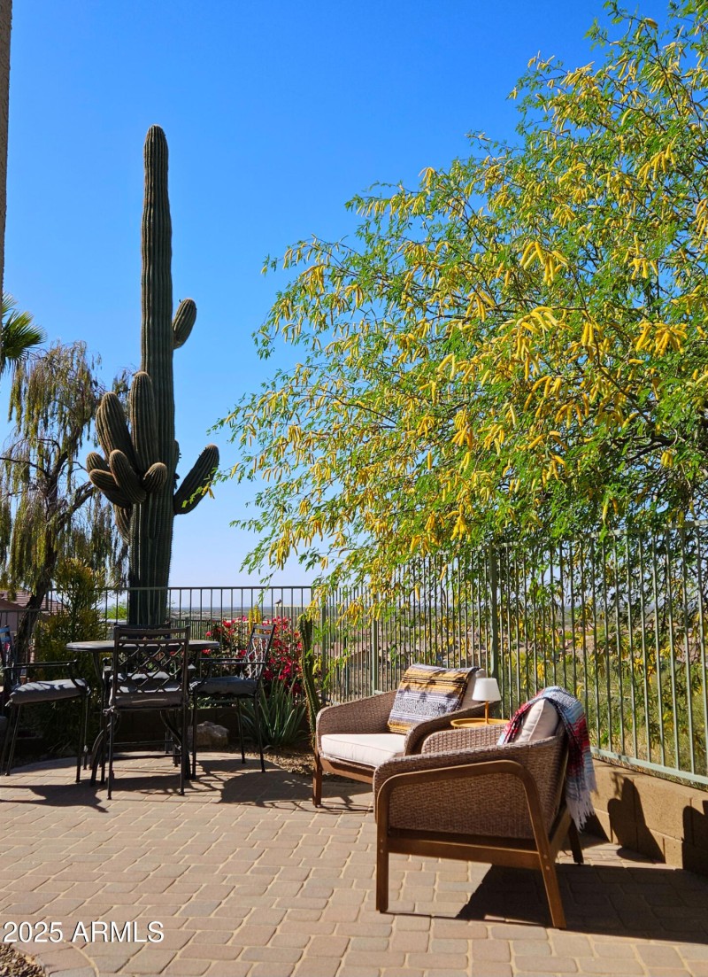 Patio-pavers tree in bloom