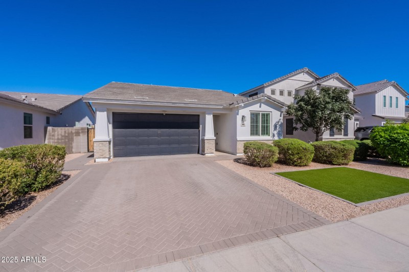 2-web-or-mls-Hazelnut-2