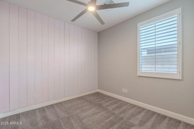 20-web-or-mls-Hazelnut-20