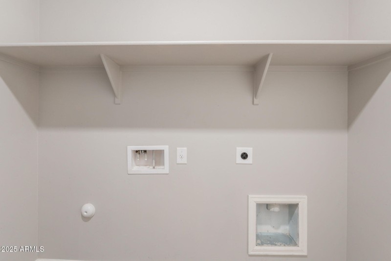 39-web-or-mls-Hazelnut-39