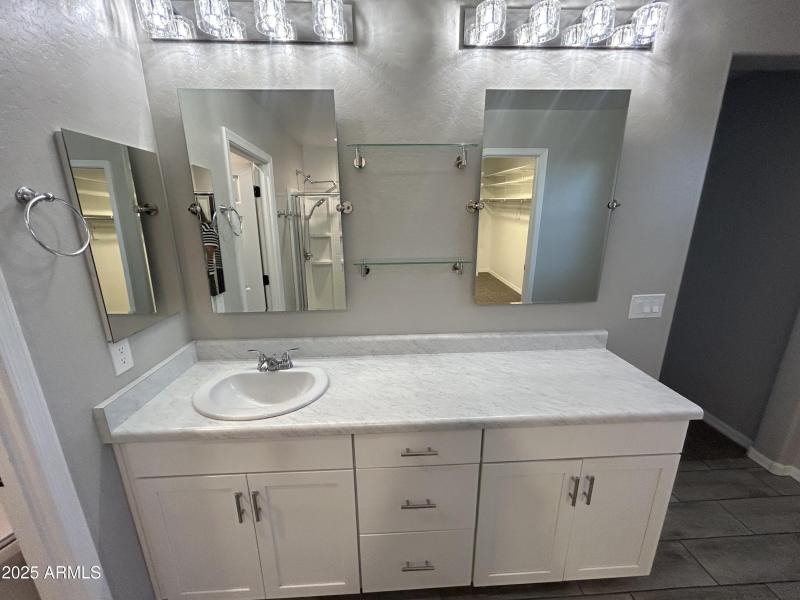 Primary Bathroom Sink