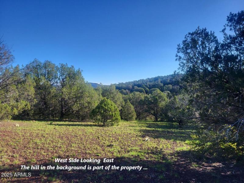 thumbnail_20250909_075501