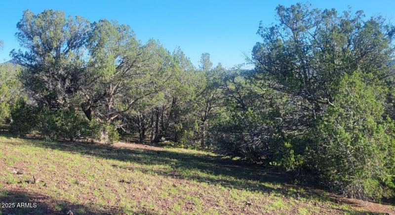 thumbnail_20250909_075550