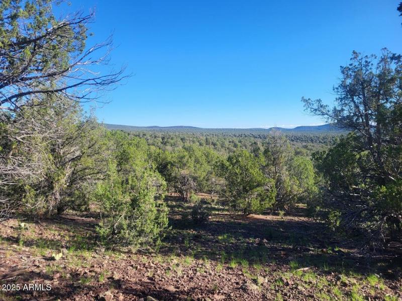 thumbnail_20250909_075910