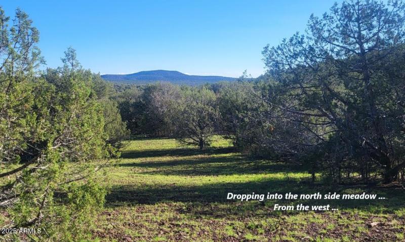 thumbnail_20250909_080041