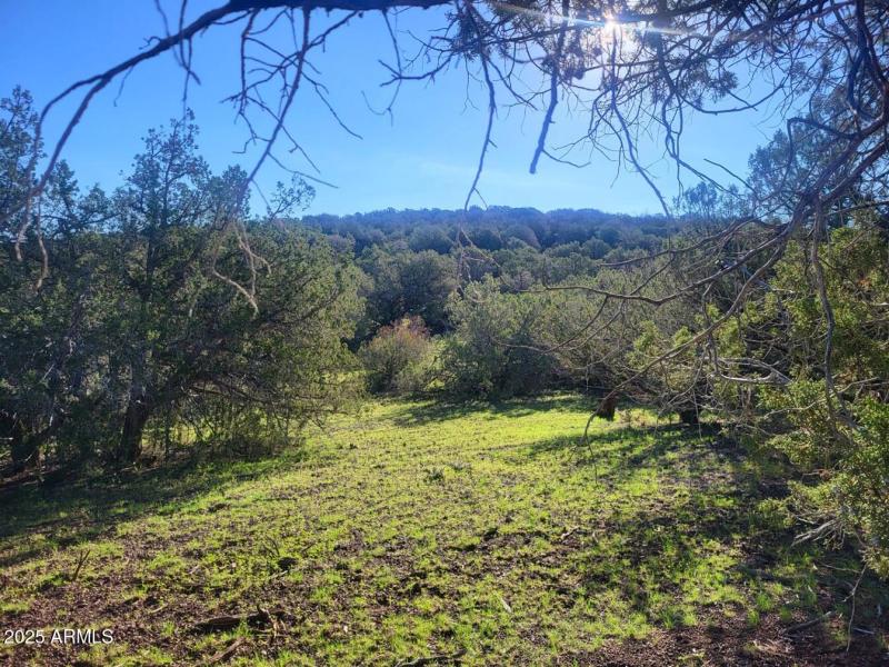 thumbnail_20250909_080052