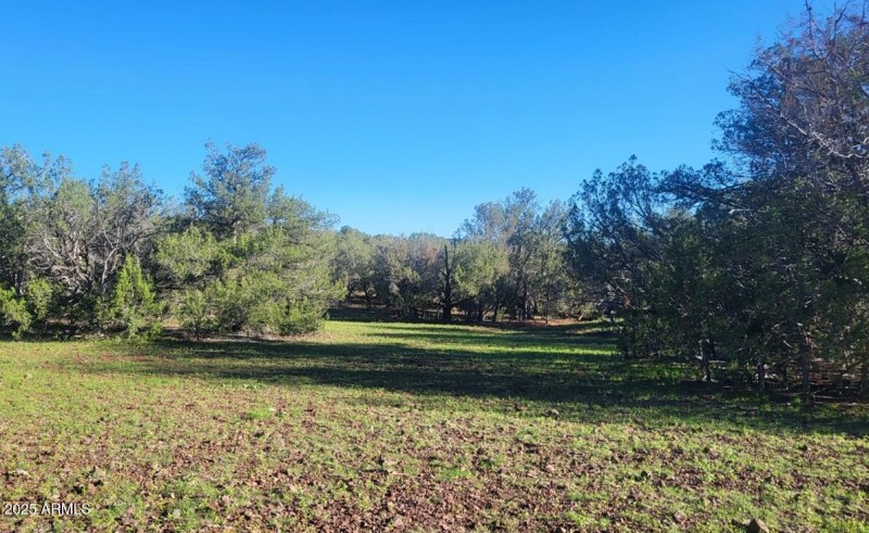 thumbnail_20250909_080146