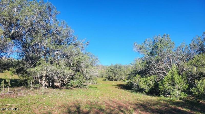 thumbnail_20250909_080208