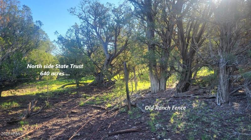 thumbnail_20250909_080503