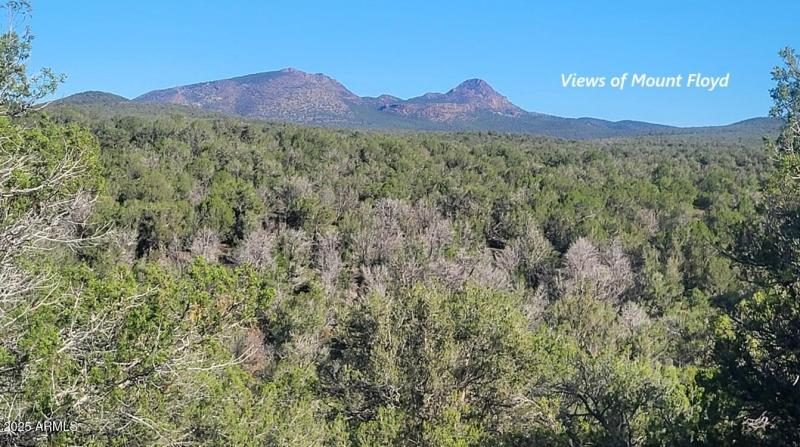 thumbnail_20250909_080723