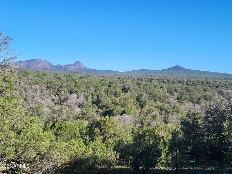 thumbnail_20250909_080800