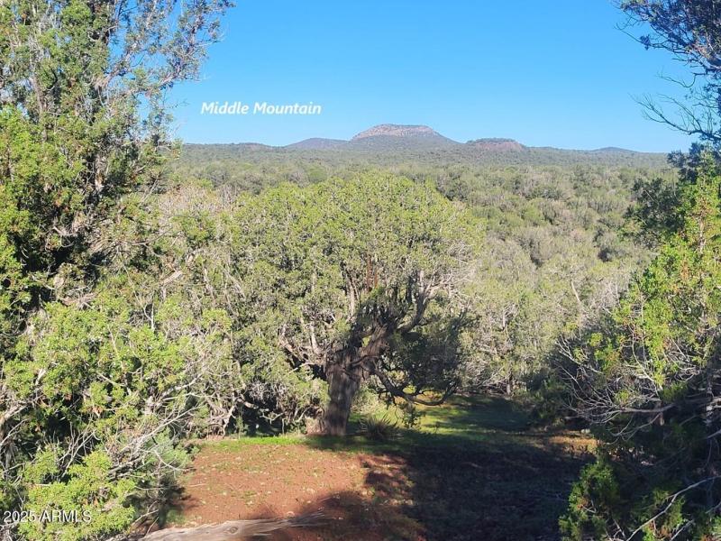 thumbnail_20250909_081104