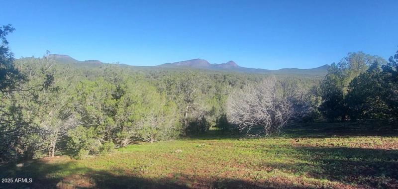 thumbnail_20250909_081316