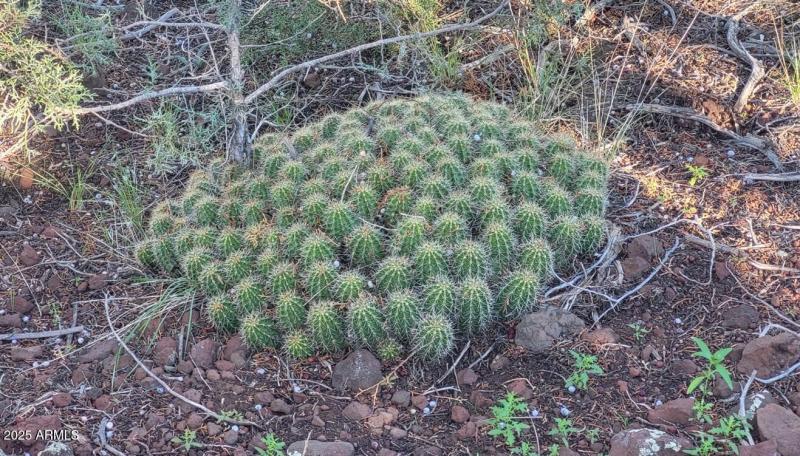 thumbnail_20250909_081406