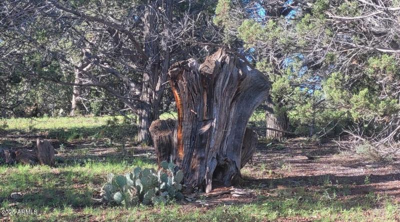 thumbnail_20250909_081749