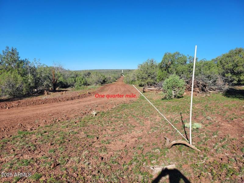 thumbnail_20250909_082854