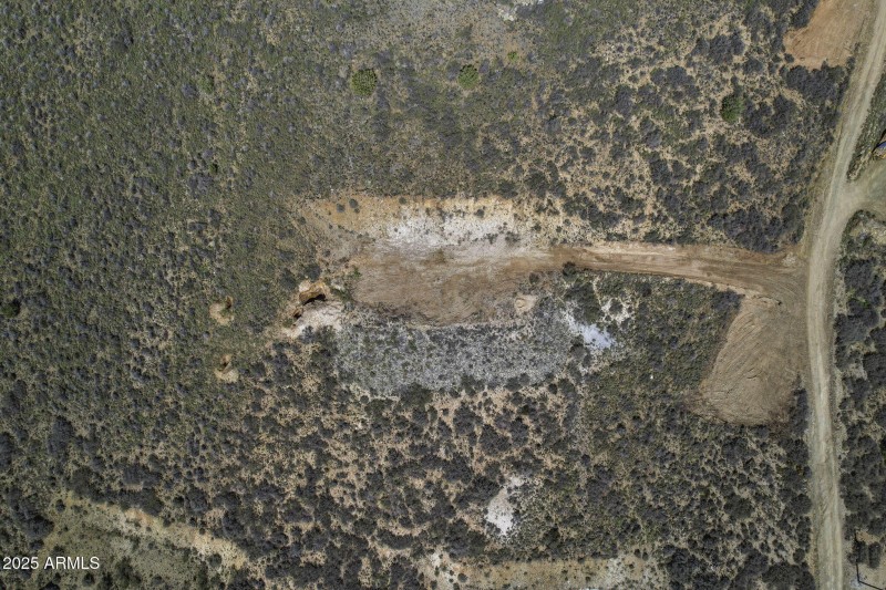 3-web-or-mls-6308-s-wolf-pack-trl