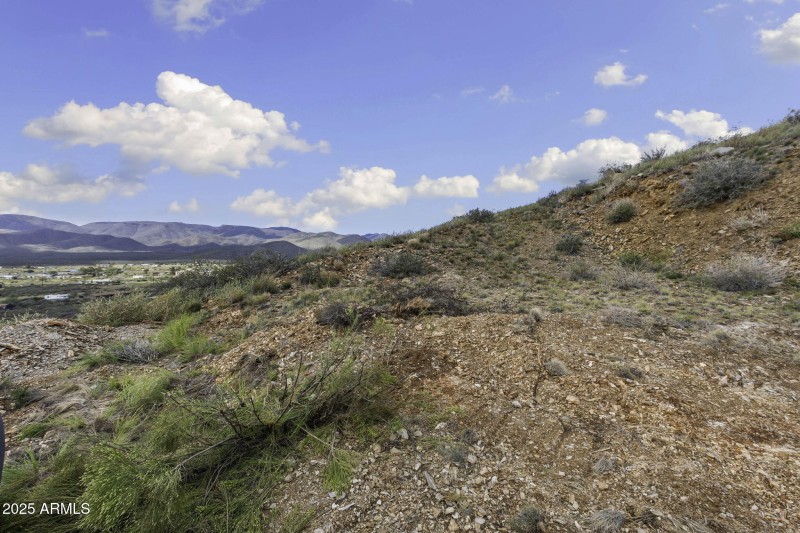 15-web-or-mls-6308-s-wolf-pack-trl