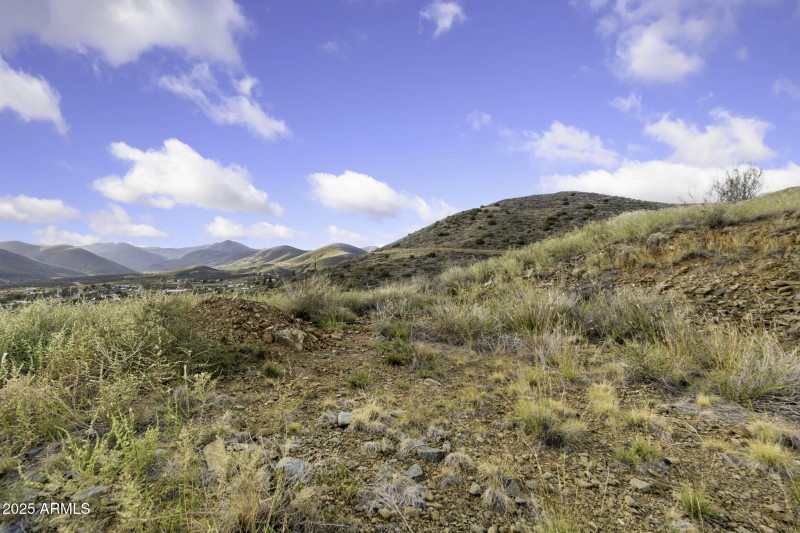 32-web-or-mls-6308-s-wolf-pack-trl