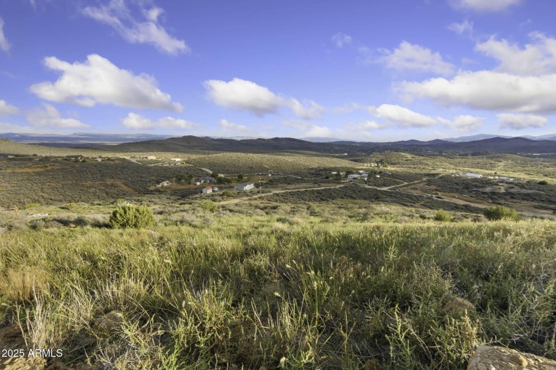 37-web-or-mls-6308-s-wolf-pack-trl