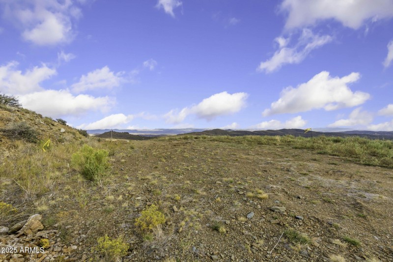 38-web-or-mls-6308-s-wolf-pack-trl