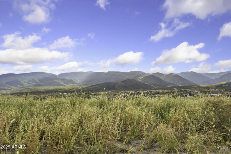 45-web-or-mls-6308-s-wolf-pack-trl