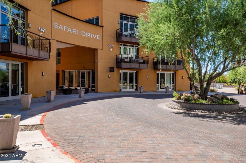 Safari Drive Entrance