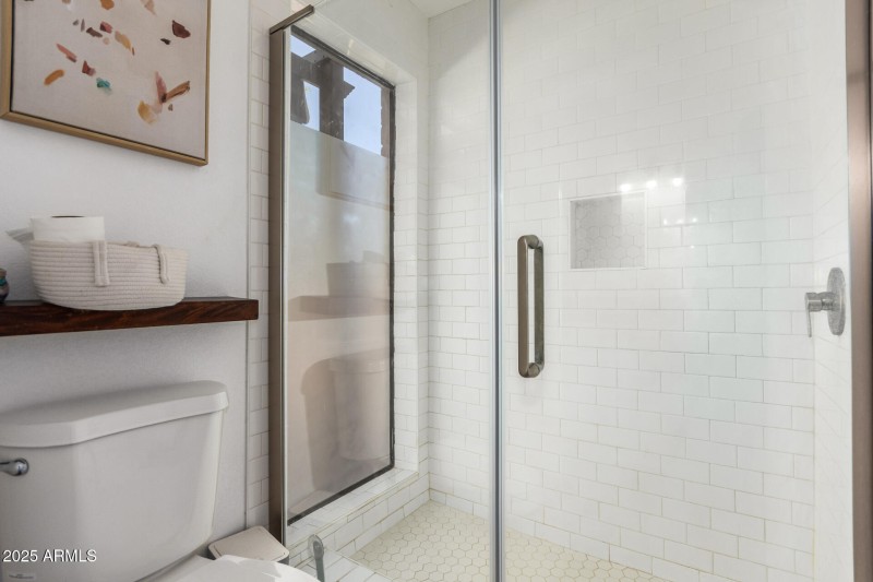 Primary Shower