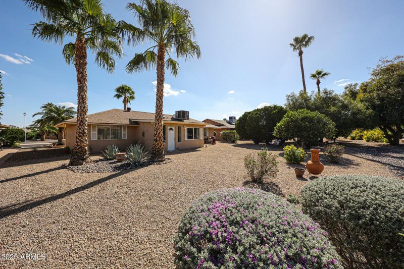 Beautiful trees and shrubs!