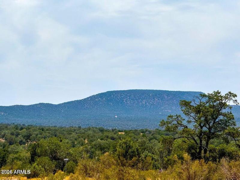 20240803040031148436000000-o (2)