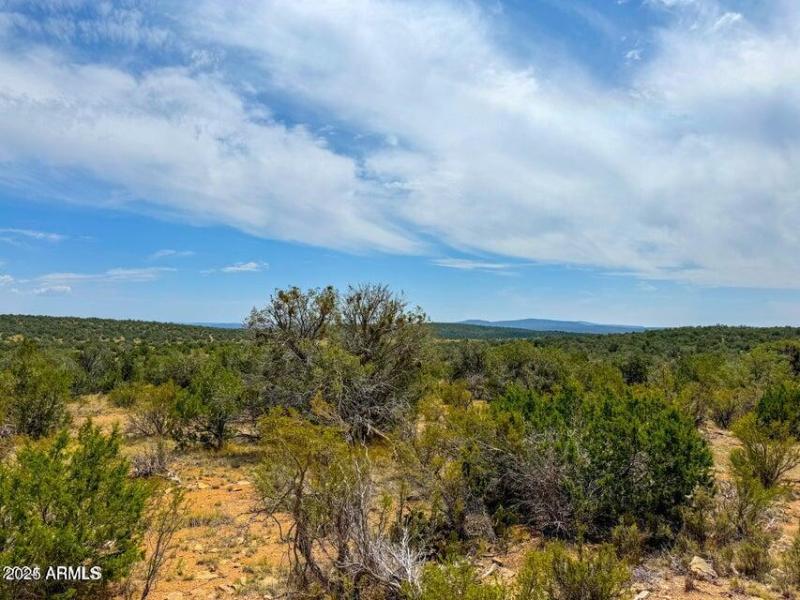 20240803035959242866000000-o (2)