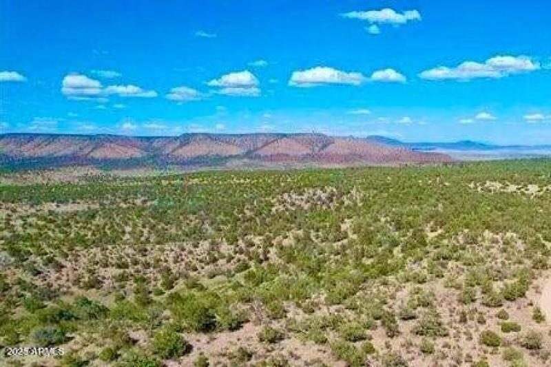 20240620070930121454000000-o (1)