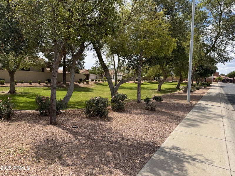 Park near