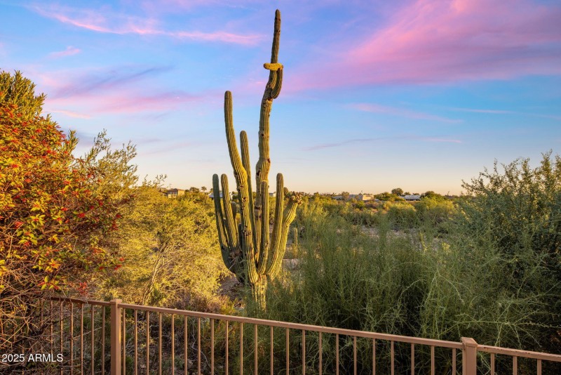 48-web-or-mls-D46A4516