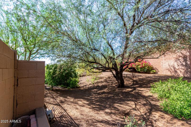 Xeriscape Park & Greenbelt