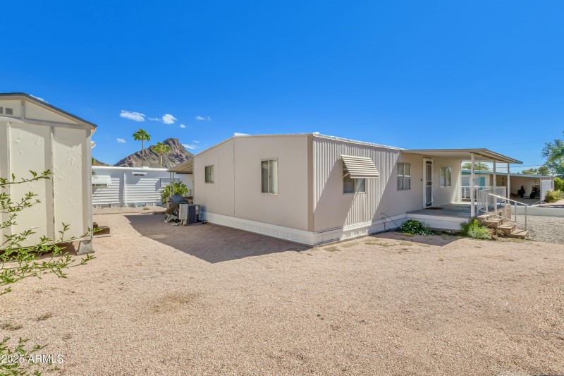 Low Maintenance Backyard